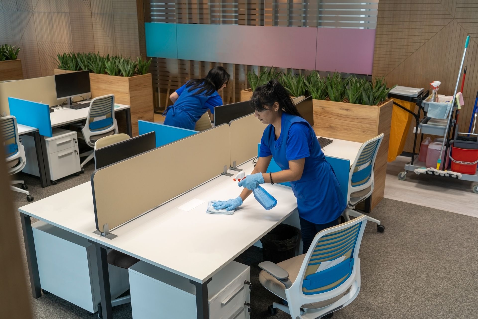 Office worker in blue uniform disinfecting desk with spray bottle and cloth